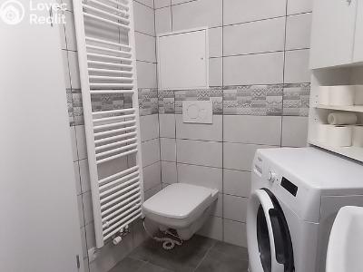 Rent apartment 1+KK Plzeň, Radyňská č. 2