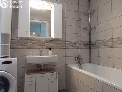 Rent apartment 1+KK Plzeň, Radyňská č. 3