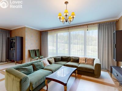 Sale family house Stará Huť, Na Čihadle 506 č. 3