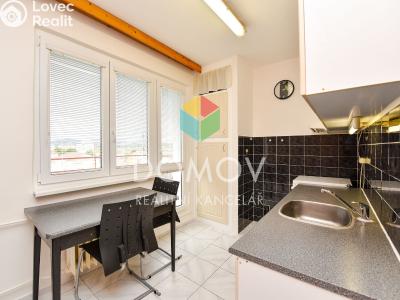 Pronájem bytu 1+1 Beroun, Košťálkova č. 5