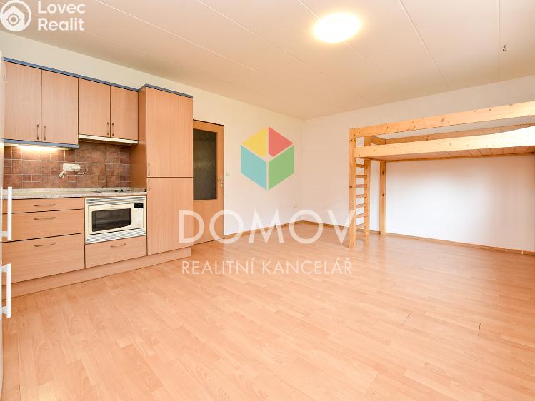 Pronájem bytu 1+KK Praha, Houdova 813/19 č. 1