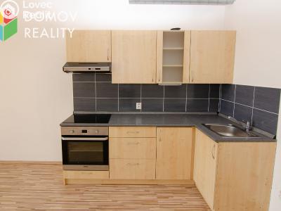 Pronájem bytu 1+KK Beroun, Nepilova č. 1