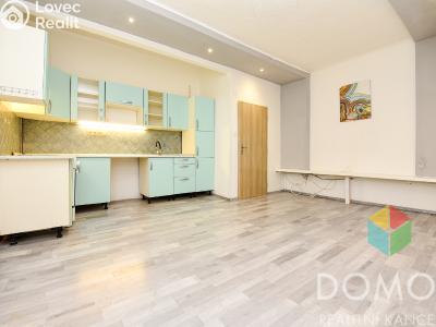 Sale apartment 2+1 Beroun, V Hlinkách č. 5