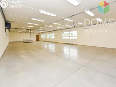 Оренда комерційної нерухомості Beroun, U Archivu č. 5