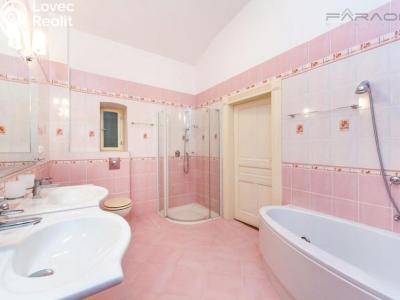 Sale apartment 4+1 Praha, Na Plzeňce č. 10
