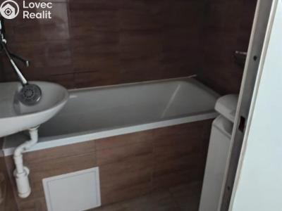Pronájem bytu 2+1 Chomutov, Holešická č. 4