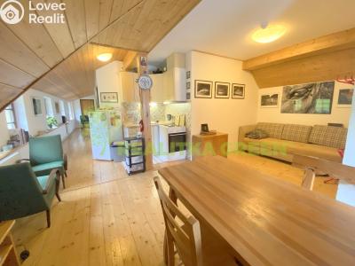 Rent apartment 2+KK Velké Karlovice č. 1
