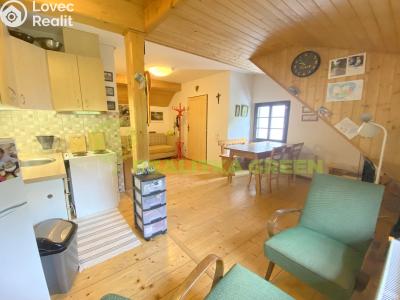 Rent apartment 2+KK Velké Karlovice č. 2