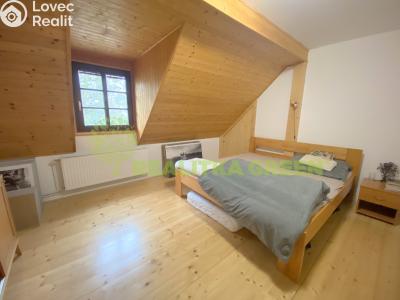 Rent apartment 2+KK Velké Karlovice č. 3