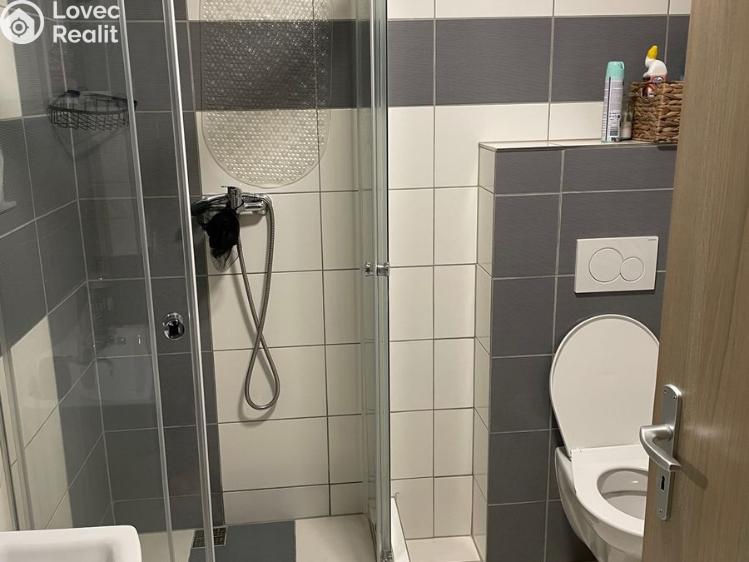 Pronájem bytu 2+KK Litultovice č. 11