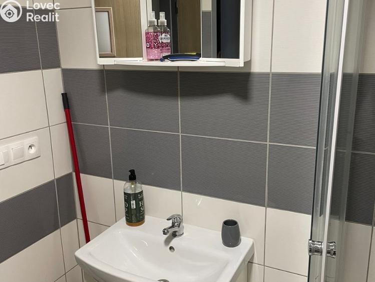 Pronájem bytu 2+KK Litultovice č. 12