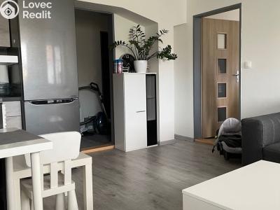 Pronájem bytu 2+KK Litultovice č. 5