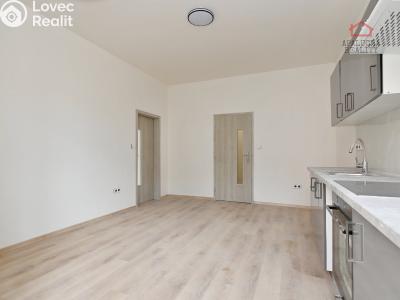 Pronájem bytu 2+KK Zásmuky, Havlíčkova 51 č. 5