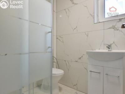 Pronájem bytu 1+KK Zásmuky, Havlíčkova 51 č. 4