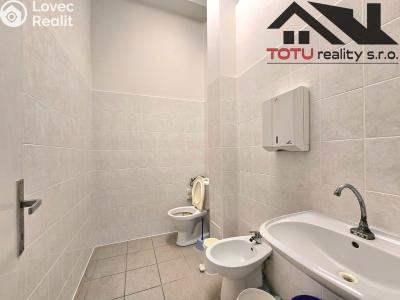 Pronájem kanceláře Černožice č. 6