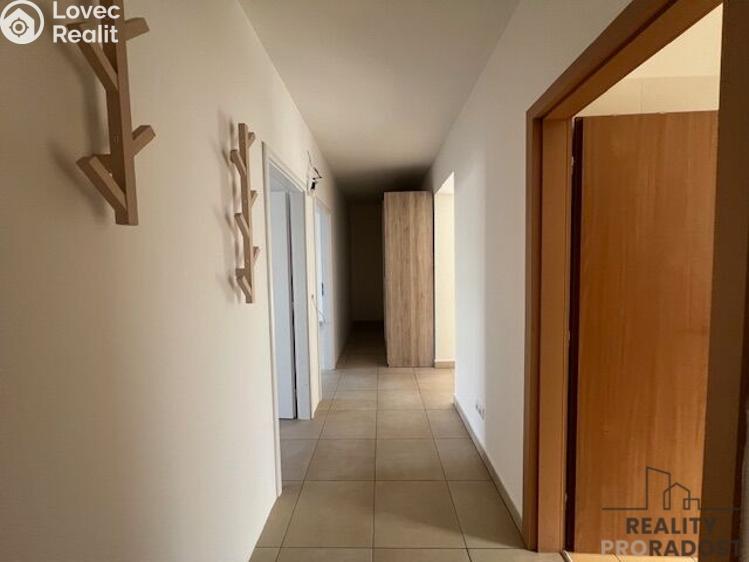 Pronájem bytu 3+KK Hodonín, Havlíčkova č. 6