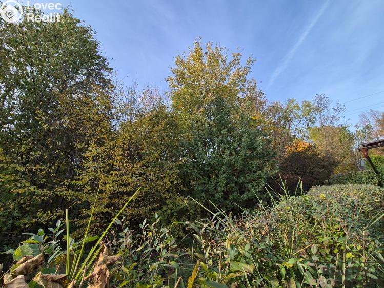 Prodej chalupy Třinec, Kaštanová č. 28