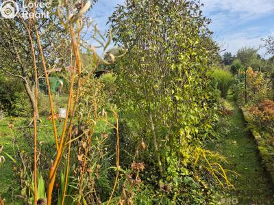 Prodej chalupy Třinec, Kaštanová č. 5