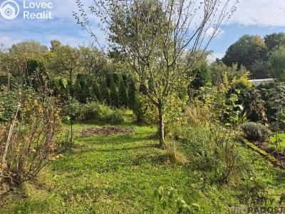 Prodej chalupy Třinec, Kaštanová č. 6