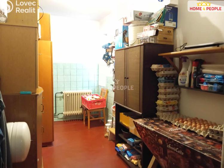 Продаж сімейного будинку Podolí I č. 18