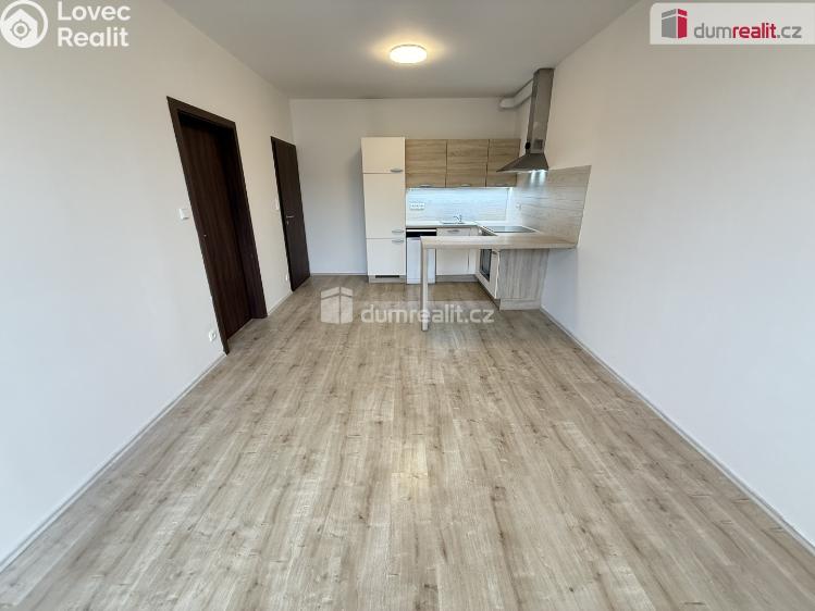 Rent apartment 2+KK Praha 5, Hugo Haase č. 10