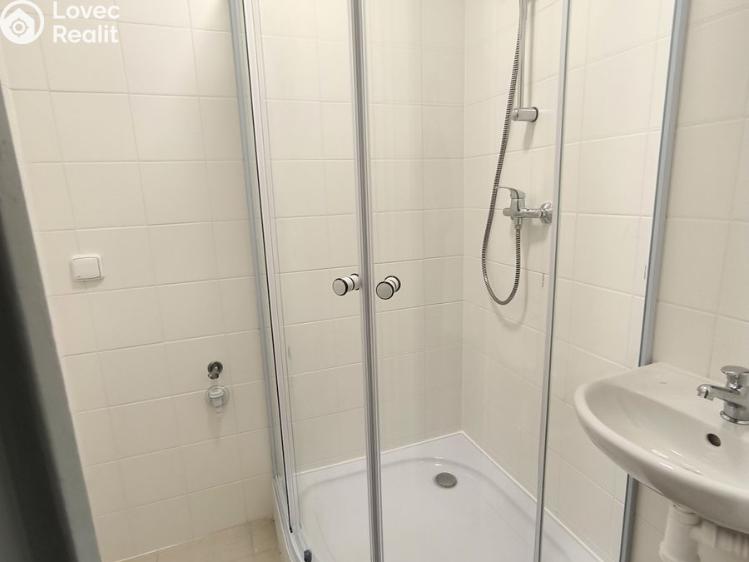 Pronájem bytu 2+1 Bílina, M. Švabinského č. 6