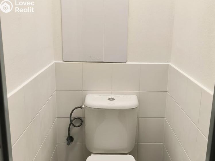 Pronájem bytu 2+1 Bílina, M. Švabinského č. 7