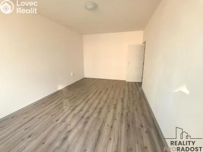 Аренда квартиры 2+1 Bílina, M. Švabinského č. 4