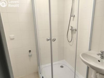 Аренда квартиры 2+1 Bílina, M. Švabinského č. 6