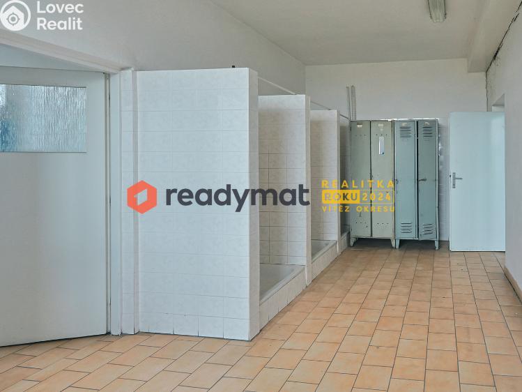 Rent production hall Bzenec, Průmyslová č. 4