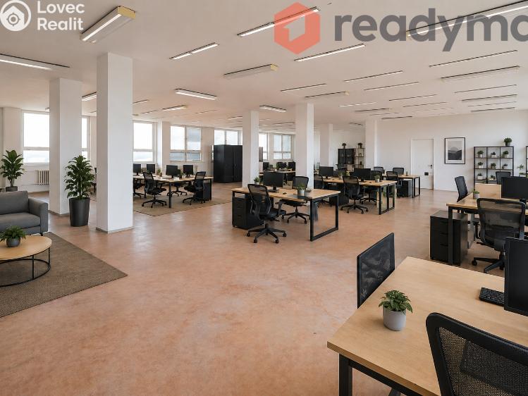 Rent production hall Bzenec, Průmyslová č. 1