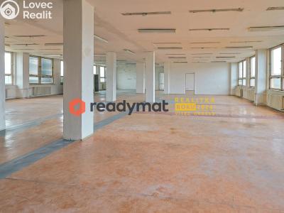 Rent production hall Bzenec, Průmyslová č. 2