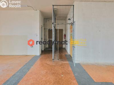 Rent production hall Bzenec, Průmyslová č. 3