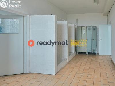 Rent production hall Bzenec, Průmyslová č. 4