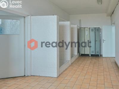 Rent production hall Bzenec, Průmyslová č. 4