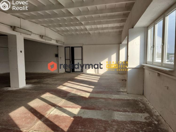 Rent commercial properties Hodonín, U Tirexu č. 1