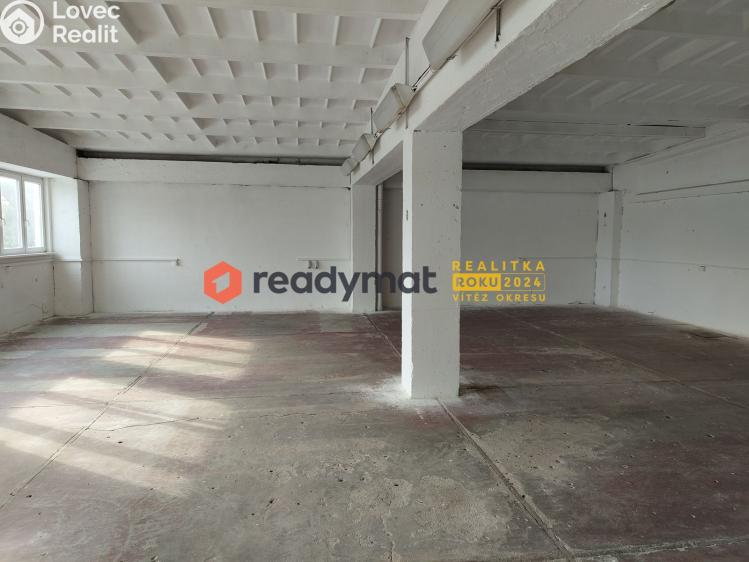 Rent commercial properties Hodonín, U Tirexu č. 2