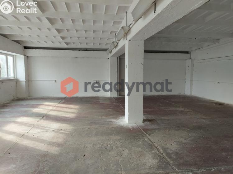 Rent commercial properties Hodonín, U Tirexu č. 2