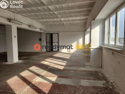 Rent commercial properties Hodonín, U Tirexu č. 1