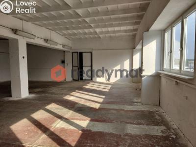 Rent commercial properties Hodonín, U Tirexu č. 1