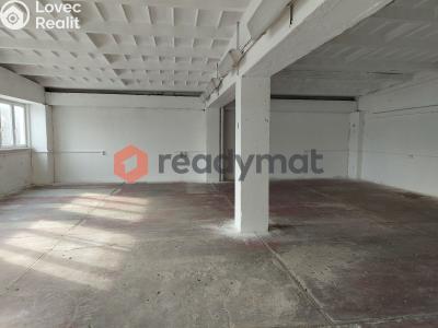 Rent commercial properties Hodonín, U Tirexu č. 2