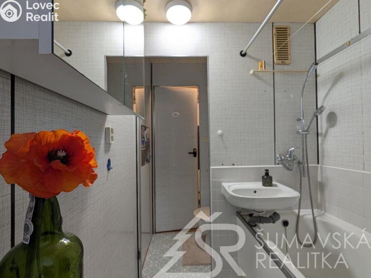 Prodej bytu 2+1 Sušice, Sirkařská 985 č. 19