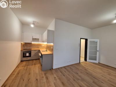 Pronájem bytu 1+KK Sušice, Hrádecká 493 č. 1