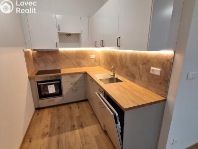 Pronájem bytu 1+KK Sušice, Hrádecká 493 č. 2