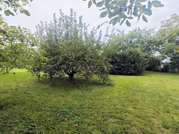 Prodej rodinného domu Hostín u Vojkovic č. 24