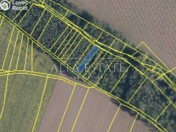 Prodej rodinného domu Hostín u Vojkovic č. 48