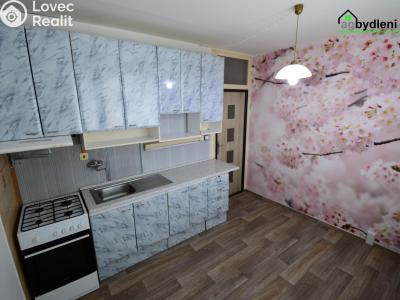 Pronájem bytu 1+1 Nýrsko, Práce 748 č. 1