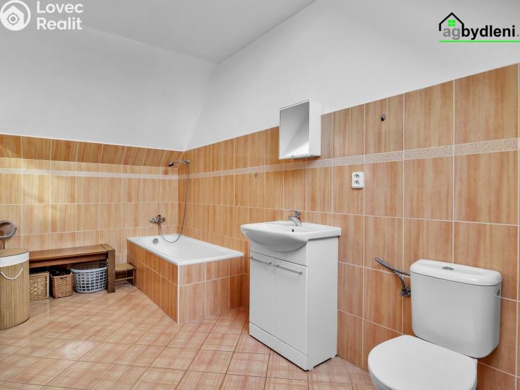 Pronájem rodinného domu Poříčany, Klučovská 348 č. 5