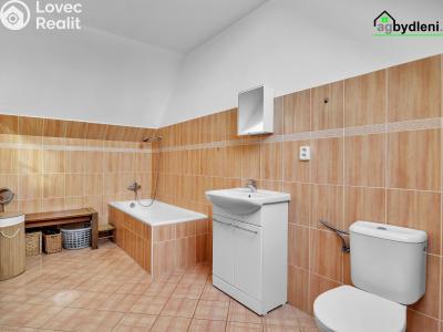 Pronájem rodinného domu Poříčany, Klučovská 348 č. 5