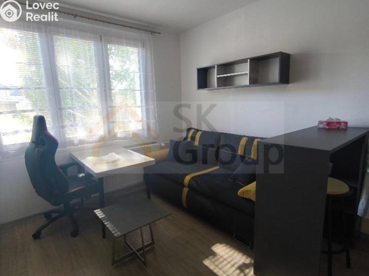 Pronájem bytu 1+KK Karlovy Vary č. 3